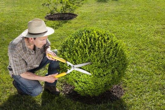 photo d'un jardinier